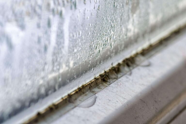 How to stop condensation on windows (and what causes it)